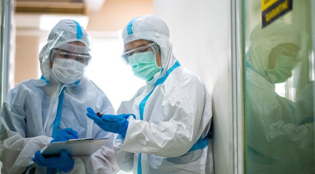 Kuş gribi alarmı: H5N5 virüsü dünyada ilk kez can aldı!