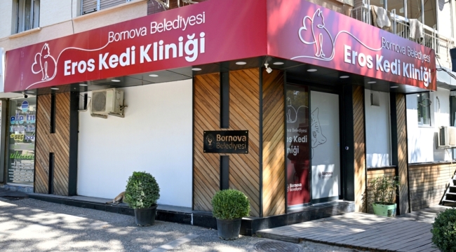 Eros Kedi Kliniği Bornova'da umut merkezi oldu