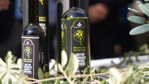 Torbalı'da Zeytin Hasadı Markaya Dönüştü: Metropolis