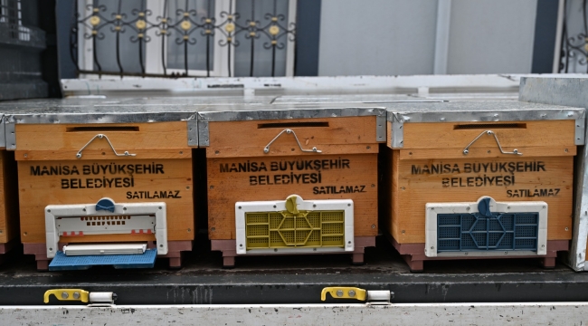 Büyükşehir'den Sel Mağduru Arıcıya Kovan Desteği