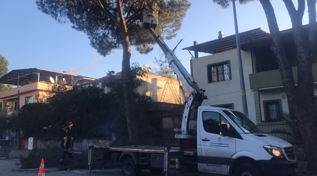 NAZİLLİLİ MUHTARDAN BAŞKAN ÇERÇİOĞLU'NA HİZMET TEŞEKKÜRÜ