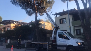 NAZİLLİLİ MUHTARDAN BAŞKAN ÇERÇİOĞLU'NA HİZMET TEŞEKKÜRÜ