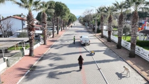 BALDEP Projesi Altınova Sahili'nde Sürüyor