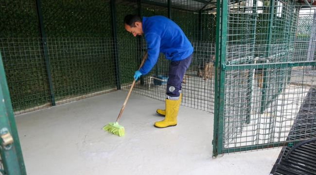 Buca'nın can dostlarına "beş yıldızlı" bakım