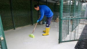 Buca'nın can dostlarına "beş yıldızlı" bakım