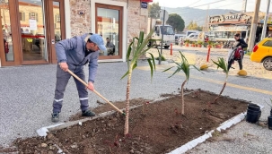 Foça Belediyesi'nden Kent Estetiğine Güçlü Dokunuş