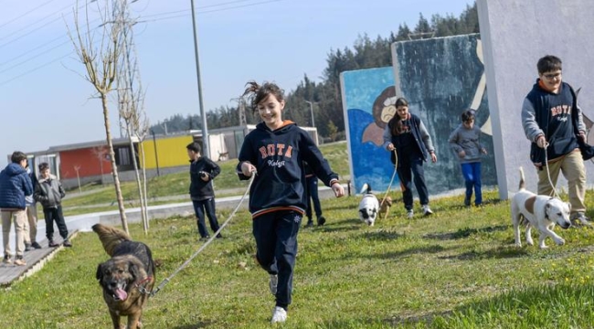 İzmir'de 2 bin 300 patili yuva bekliyor