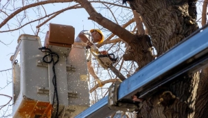 Karşıyaka'da budama seferberliği: Ağaçlar bahara hazırlanıyor