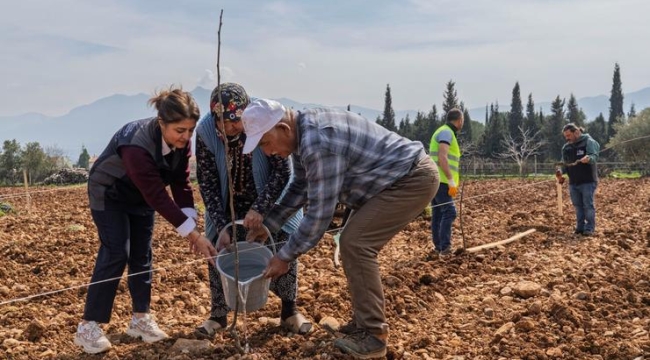 Kesilen cevizlerin yerine umut filizlendi