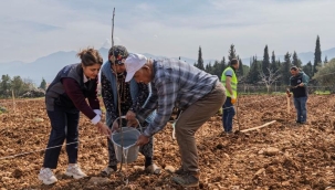 Kesilen cevizlerin yerine umut filizlendi
