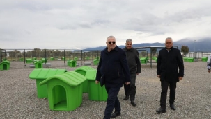 Nisan'da Sokak Hayvanlarına Doğal Yaşam Alanı Açılıyor