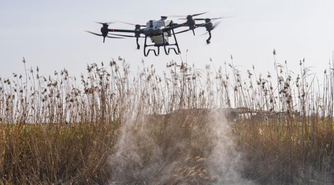 Sivrisinek ve zararlılara karşı İzmir modeli