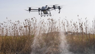 Sivrisinek ve zararlılara karşı İzmir modeli