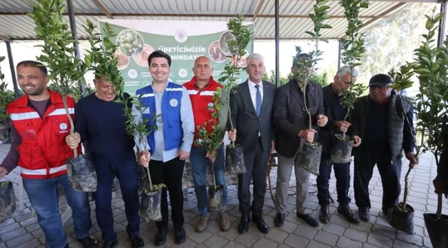 Zirai dondan zarar gören üreticilere fidan desteği