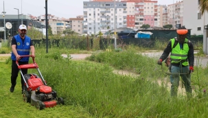 Buca'da bahar temizliği
