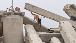 Momo enkaz için eğitiliyor