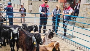 Bozdoğan'da kurban satış yerleri denetlendi
