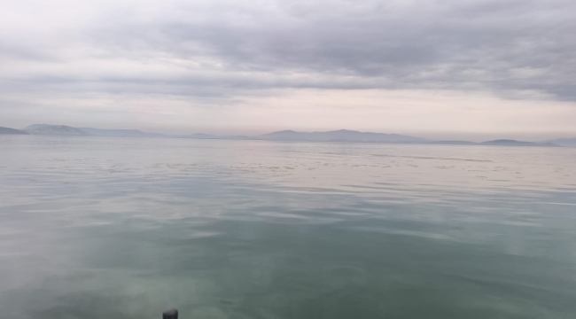 Büyükşehir'den Körfez'de temizlik mesaisi