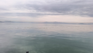 Büyükşehir'den Körfez'de temizlik mesaisi