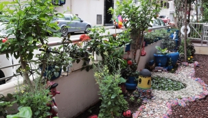 Karşıyaka'nın en güzel balkon ve bahçeleri seçiliyor!