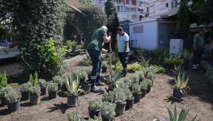 Konak'ın parklarında bakım seferberliği