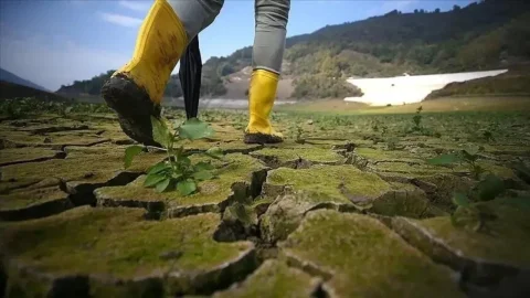 81 ile iklim planı hazırlanacak: emisyon ölçümleri ve yerel projeler
