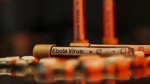 DSÖ: Kongo Demokratik Cumhuriyeti'nde Ebola riski çok yüksek