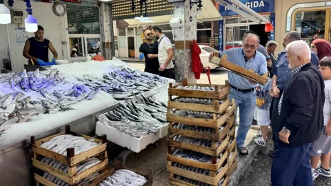 Karadeniz'de palamut bolluğu: fiyatların daha da düşmesi bekleniyor