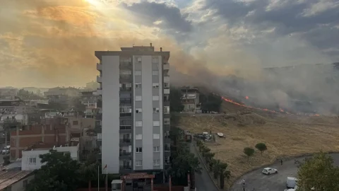 Karşıyaka'da otluk yangını itfaiye tarafından kontrol altına alındı