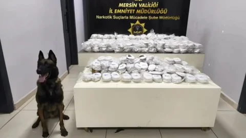 Mersin'de konteynerde 3,5 kilo kokain ve 122 kilo esrar ele geçirildi