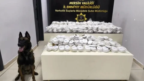 Mersin Limanı'nda konteyner motorunda 3 kilogram 490 gram kokain ele geçirildi