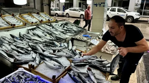 Palamut ve torik av sezonu 15 Ağustos'ta başlıyor