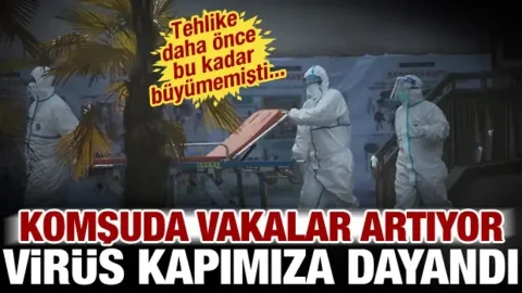 Yunanistan'da Batı Nil vakaları artıyor, Türkiye'ye yaklaştı