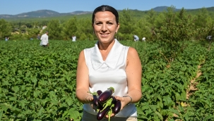 Bornova'nın bereketli topraklarında dayanışma hasadı